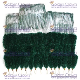 Royal Irish Regiment Green Feather Plume