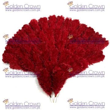 Hackle Plume, Hackle Plume Suppliers and Manufacturers
