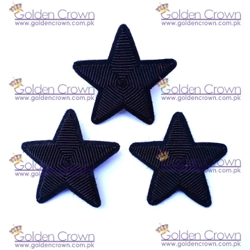 Embroidered Bullion Wire Brooch Star