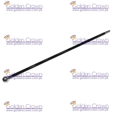 Swagger Stick Nigeria Police