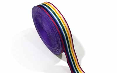 Medal ribbon Rainbow  Ark Mariners