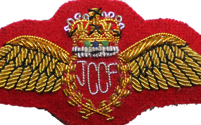 Bullion Embroidered Military Uniform Wing Badges