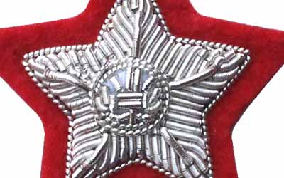 Silver Bullion Rank for General Officers